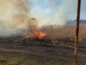 Огонь на опережение: как в Шахтах готовятся к пожароопасному сезону