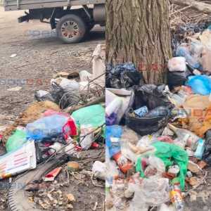 Трупы животных, ветки и мусор: в Шахтах в жилом районе образовалась жуткая свалка