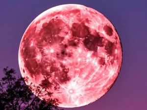 Розовая Луна: жители Шахт в апреле смогут увидеть необычное небесное явление