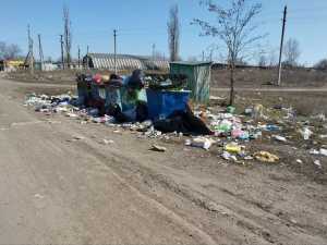 Мусорный коллапс: в Шахтах жители пожаловались на захламление территории вокруг кладбища