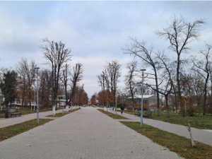 Теплая и пасмурная погода ожидает жителей Шахт на последних выходных марта