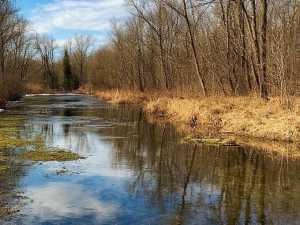 Жителей Шахт ждёт тёплая, но дождливая неделя