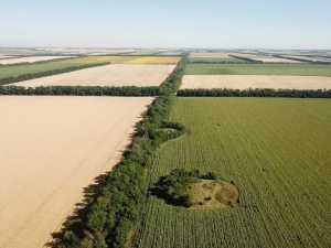 Курганы в Октябрьском районе взяли под охрану государства