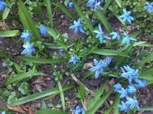 Апрельские выходные принесут жителям Шахт тепло и небольшой дождь