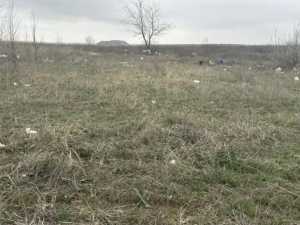 В Шахтах ликвидировали свалку за счёт нарушителя