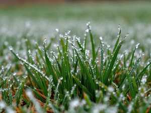 Угроза для урожая: в Ростовской области возможны заморозки до -2 градусов