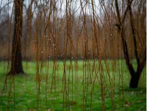 Шахты накроют дожди перед Пасхой