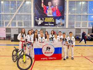 Шахтинские рукопашники триумфально выступили на турнире в Костроме