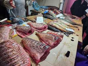 На центральном рынке Шахт торговали рыбой без документов