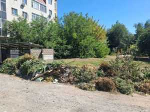 Ветки, шины и батарейки в Шахтах некуда сдать легально