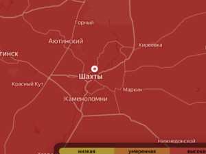 В Шахтах зафиксировали высокий уровень пыльцы злаков