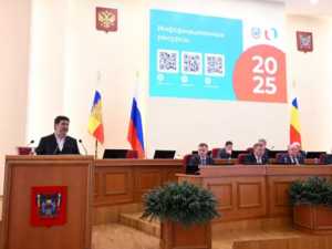 Развитие НКО, поддержка бизнеса и спад обращений: Итоги деятельности институтов правозащиты и гражданского общества Ростовской области