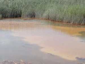 Почти 70% проб воды из водоемов Шахт не прошли проверку Роспотребнадзора